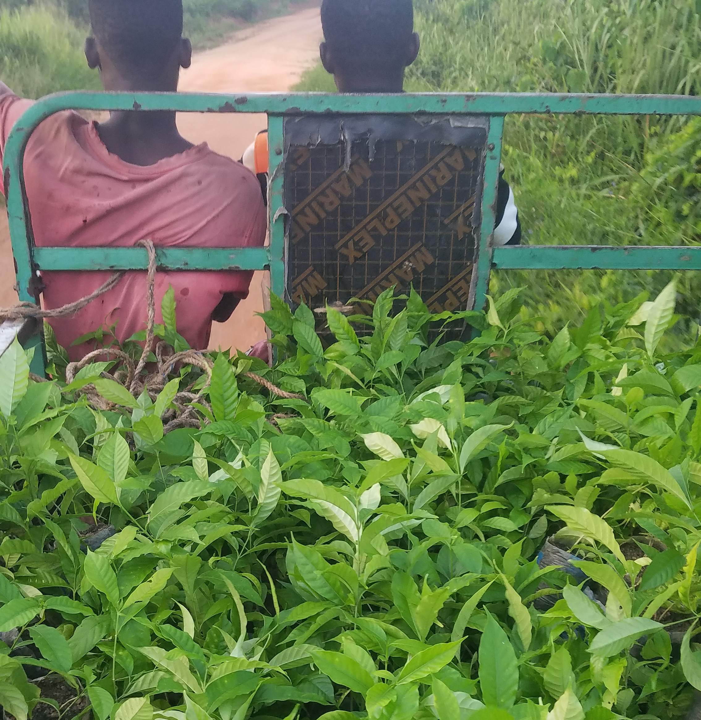 Empowering Through Education