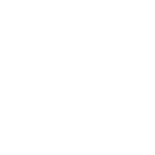 IBO-TRUTH Logo